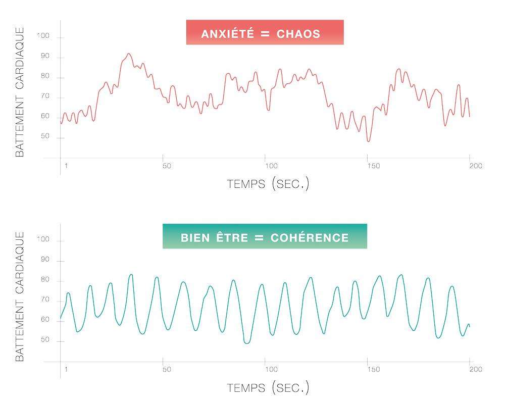 Cohérence cardiaque : qu'est-ce que la variabilité cardiaque ?