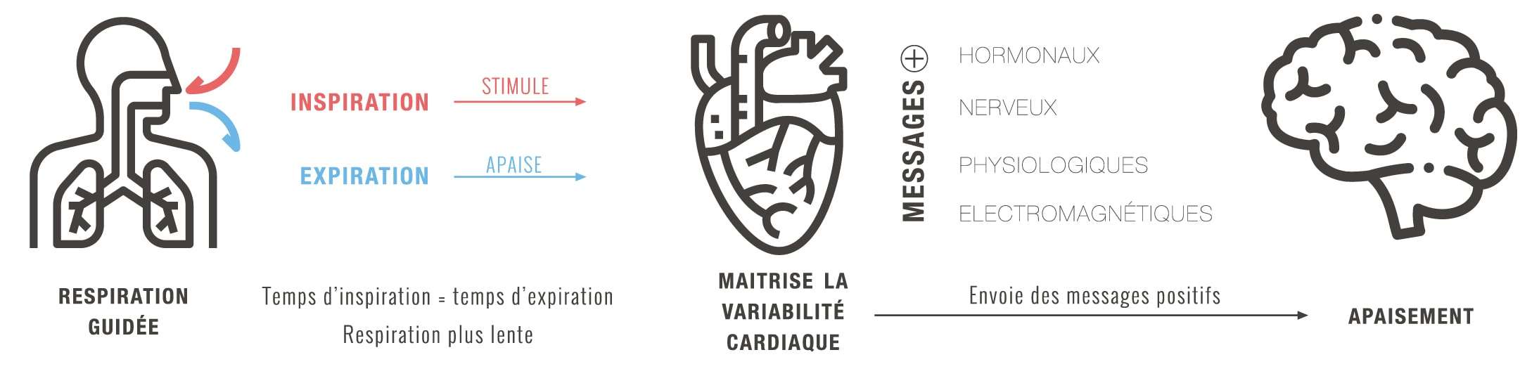 Utiliser la cohérence cardiaque pour réduire l'anxiété et le stress