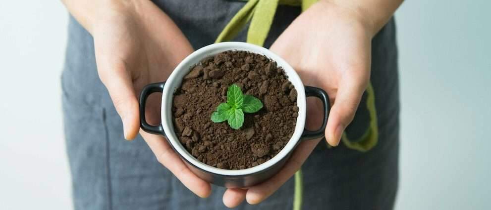 Découvrez 5 manières simples de célébrer la journée mondiale de l'environnement sans bouleverser votre quotidien