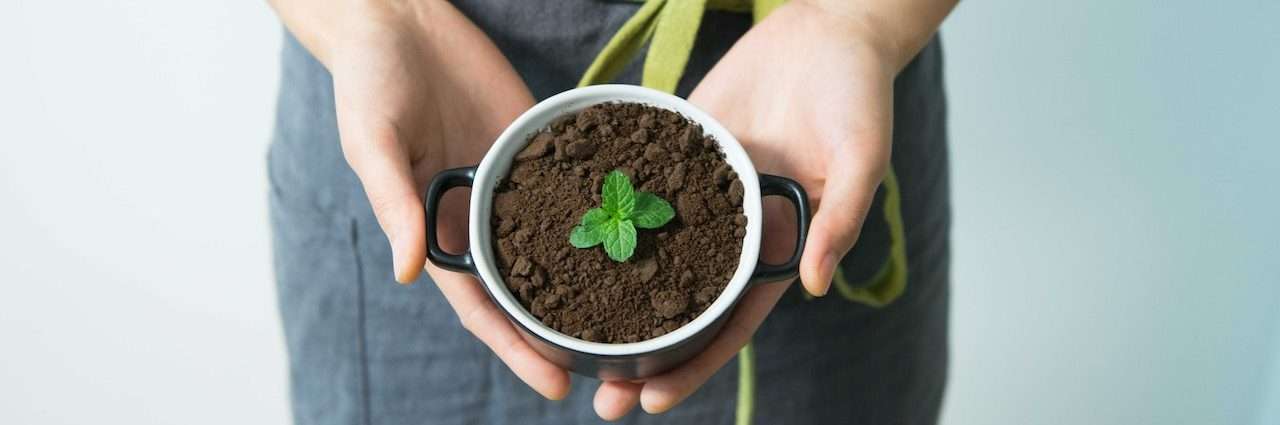 Découvrez 5 manières simples de célébrer la journée mondiale de l'environnement sans bouleverser votre quotidien