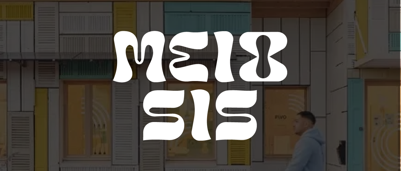 MEOISIS: RAISON D'ÊTRE